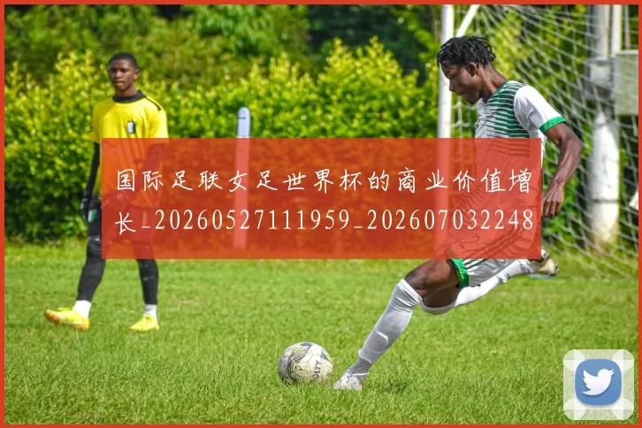 国际足联女足世界杯的商业价值增长_20260527111959_20260703224850_20260719170212