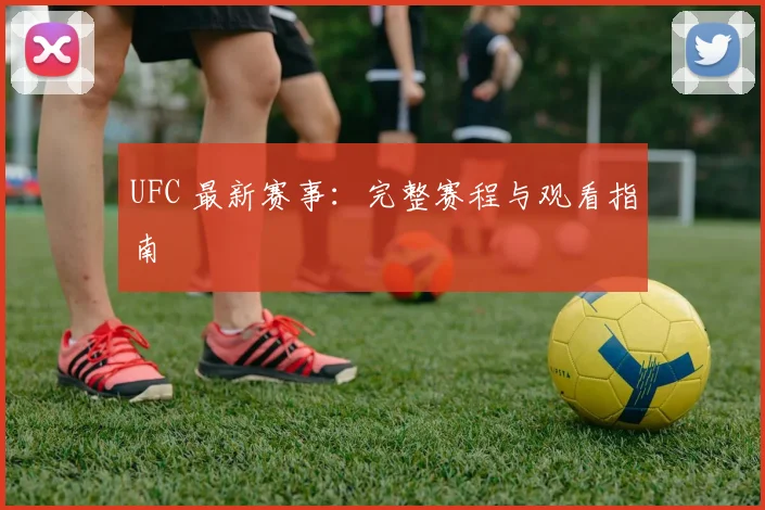 UFC 最新赛事：完整赛程与观看指南